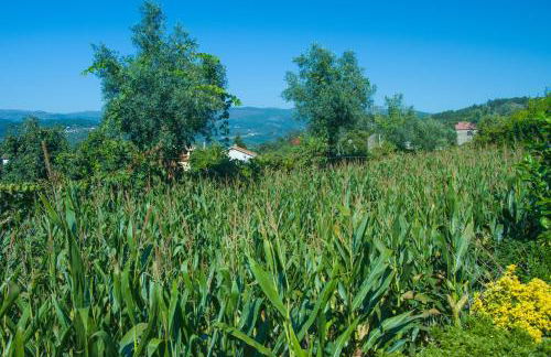 Solar Alegria - Foto 30