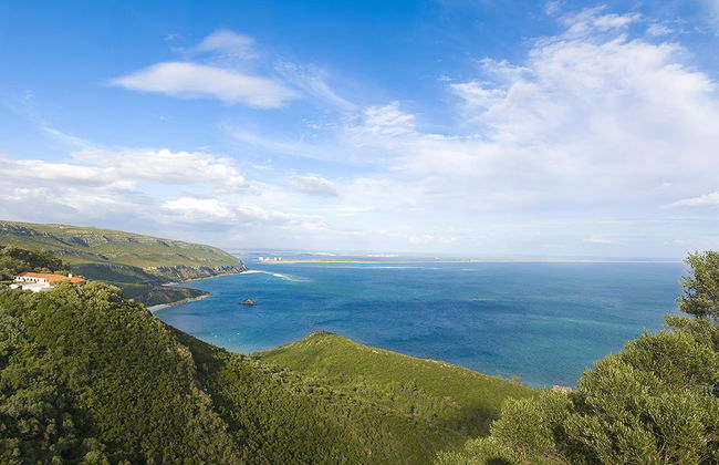 Arrábida, Sesimbra y Setúbal: tour privado de 1 día - Foto 1