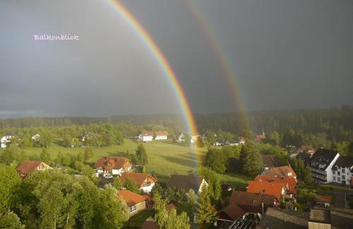 2- Raum - Ferienappartements 58 qm Dieter Hoffmann Freudenstadt-Kniebis beim Nationalpark - Foto 13