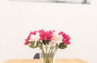 Apartamento Cassa de la selva - Foto 12