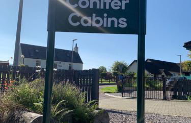 Conifer Cabins - Photo 21