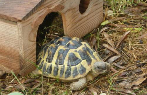 Luxurious private 100sqm studio with infinity pool - Foto 9