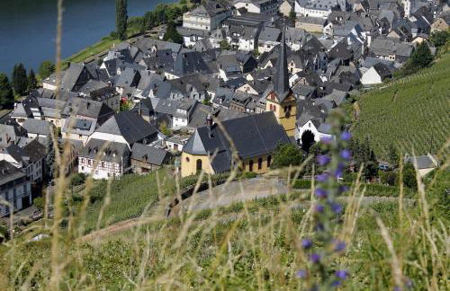 Ferienhaus Moselblick mit kostenfreien ÖPNV-Ticket - Foto 17