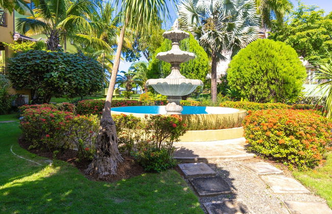 Crystal Cove Gems - Foto 16