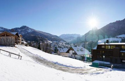 Dolomites Chalet Niuasi - Photo 10