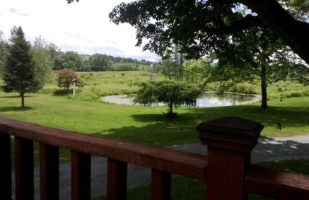 Enchanting Secluded Cabin Rental near Salem, New York - Foto 2