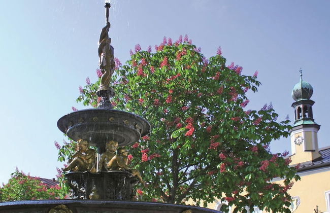 Lovely Holiday Home in Viechtach near Forest - Photo 16