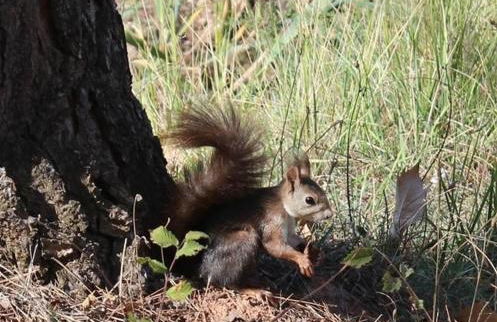 Casa Rural Doña Carmen - Foto 49