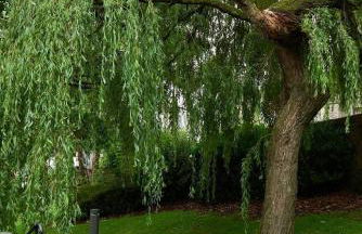 Luxury Old Town Apartment just a 5 Minute Walk to Stirling Castle - Foto 38