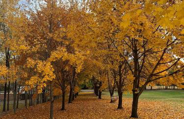 Chalet Retreat on Spectacle Lake - Foto 54