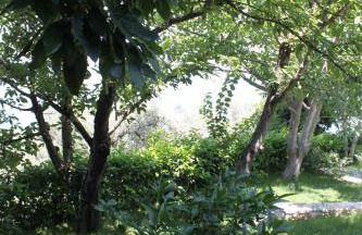 Isabel Artemis - Foto 62