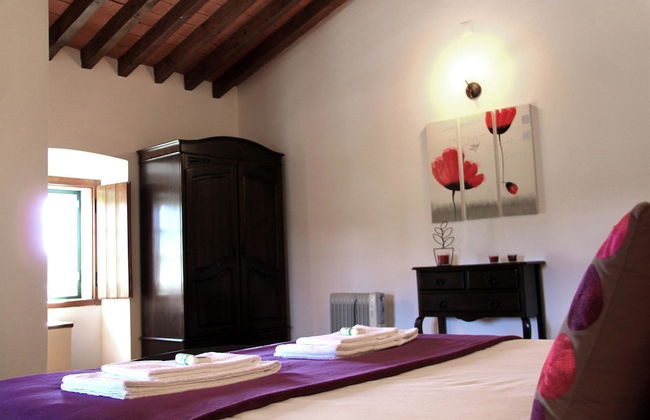 Quinta dos Ribeiros - Photo 11