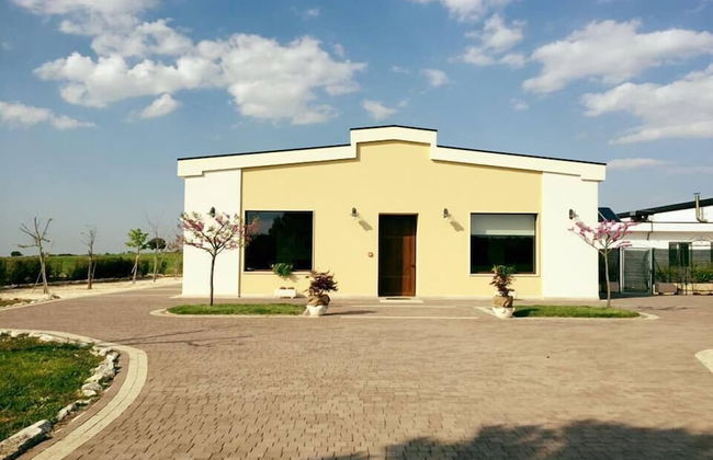 Masseria Chinunno - Foto 58