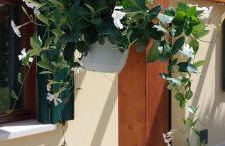 Ca' SVIZZERO - Foto 43