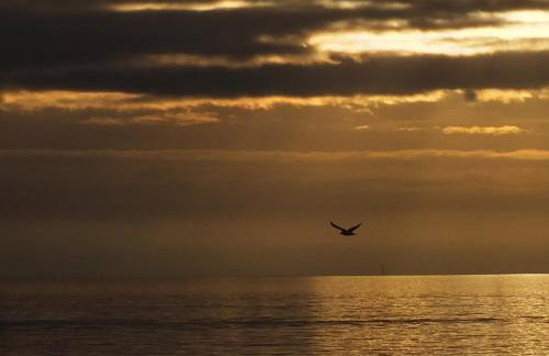 Ferienwohnung in Osterdeichstrich - Foto 23