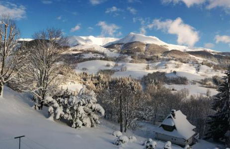 Chalet avec vue panoramique sur le Plomb du Cantal - Foto 23