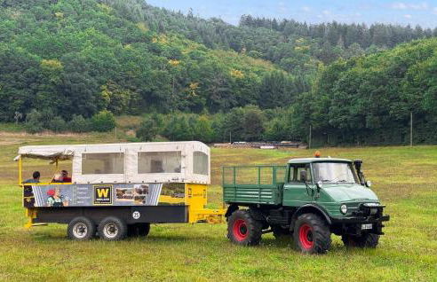 Kleiner Fuchs - Foto 12