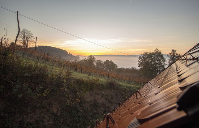 Vineyard cottage Škatlar 3 - Foto 32