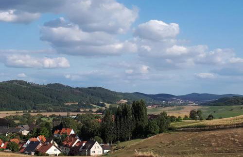 Gästewohnung Leinetal - Foto 14