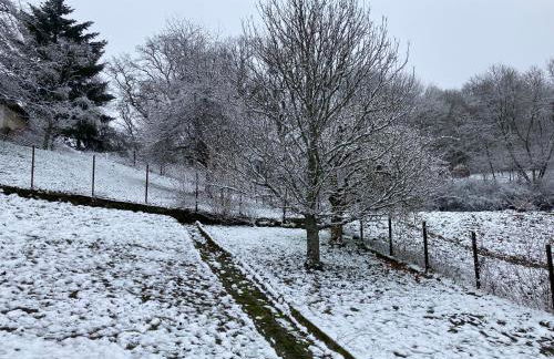 Luxe, landelijke vakantiewoning der alte Birnenbaum Duitsland-Sankt Wendel - Foto 39