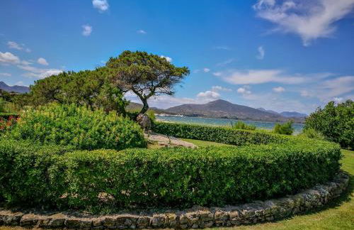 Porto Rotondo - Photo 22