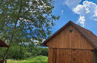 Kokotova hiža - Photo 39