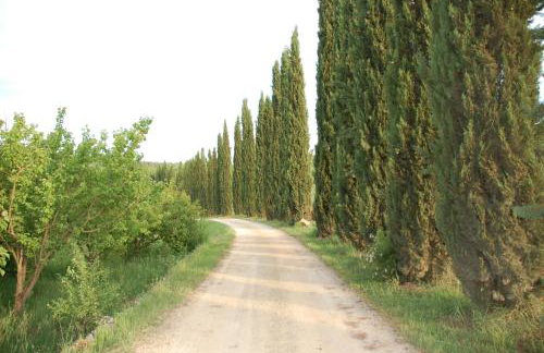 Agriturismo Novelleto - Foto 55