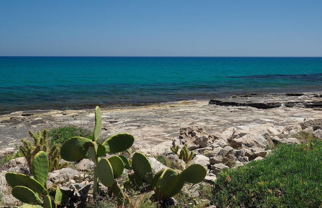 Cala Sol - Giglio - Foto 17