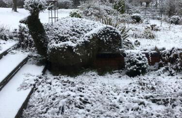 Myrtleberry Studio BnB - Foto 45