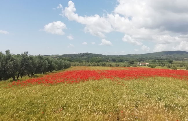 Home by Mel G Manciano - Foto 42