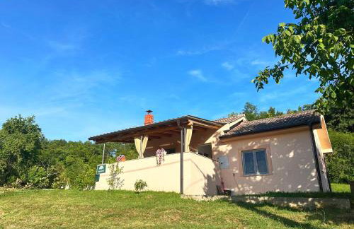 Terra Verde - Photo 1