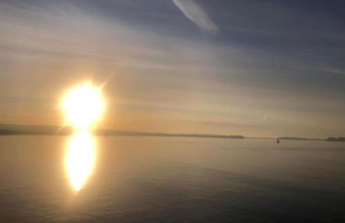 The Old Custom House - Photo 16