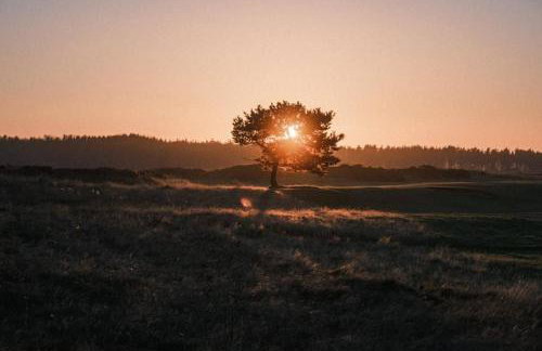 The Galloway Steading: Countryside Family Retreat with Sauna and Hot tub - Foto 56