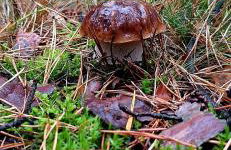 Strefa Relaksu-Piece - Foto 50