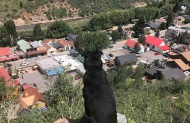 Cabin-Style Ski Home in Minturn with Private Deck - Foto 76