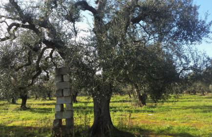 Na Chicca e na Nicchia - Foto 52