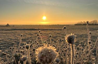 Briary Cottages at Iletts Farm - Photo 34