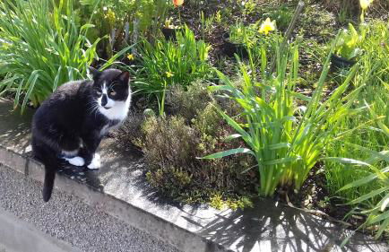 BallyCairn Self Catering Studio - Foto 19