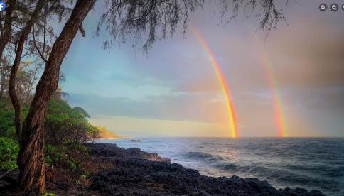 Tropical Zen Bungalow - Foto 4