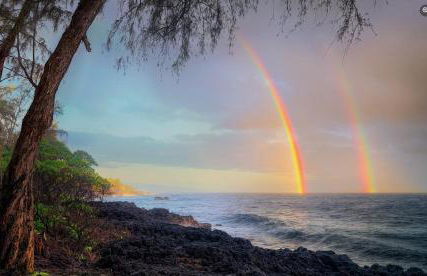 Tropical Zen Bungalow - Foto 4