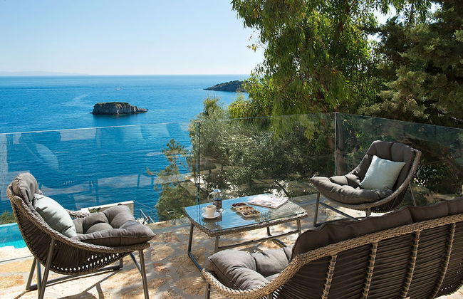 White Orchid Vanda in Vola - Photo 10