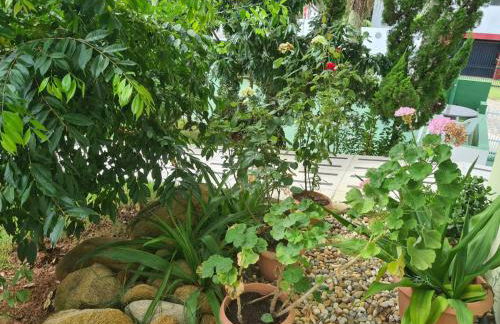 PRAIA 4 ILHAS Apartamento 1 Quarto a 50M da Praia - Photo 33