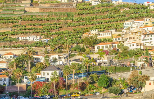 Figueiras House by Atlantic Holiday - Foto 25