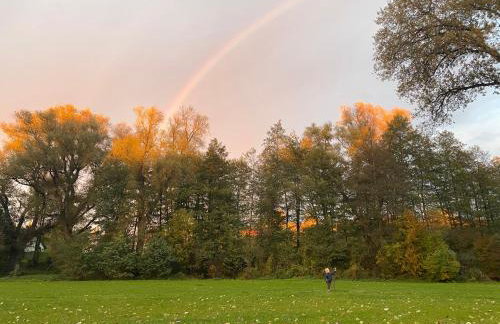 Królewska Sielanka - Foto 49