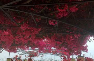 Idyllische Dachwohnung am Hafen von Porto Maurizio - Foto 8