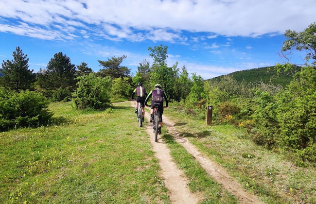 Jardines de Uleta Suites - Foto 46