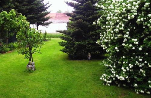 Alteschule15 - Foto 8