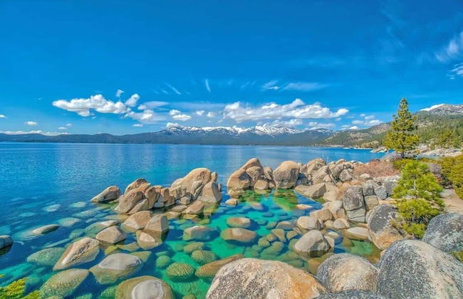 Vibrant Boho Family Home 3 Bed Pet Friendly UNR - Photo 11