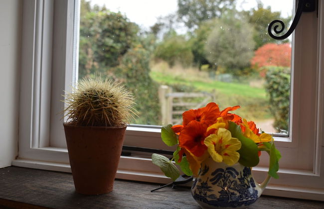 Applecote - Rye - Foto 11