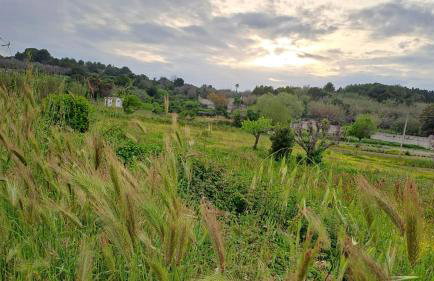 A 20 passi dal mare - Photo 51